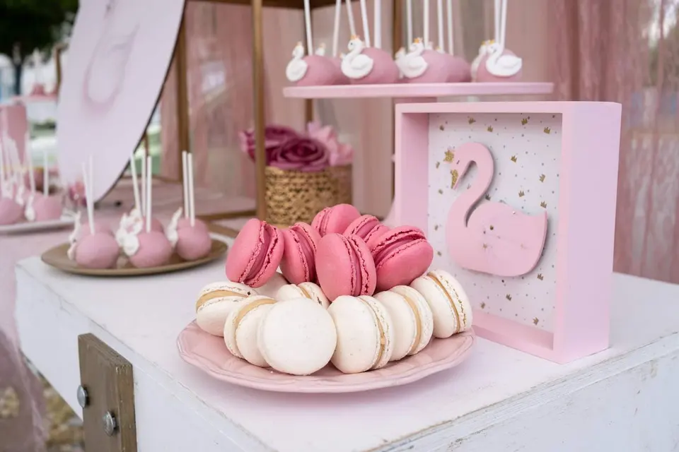 XV años de Camila · Rosa y oro, foto 2